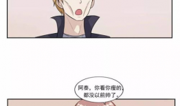 漫画女胖子,从自卑到自信的蜕变之旅